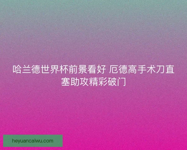 哈兰德世界杯前景看好 厄德高手术刀直塞助攻精彩破门