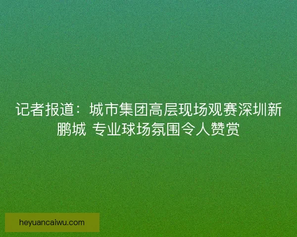 记者报道：城市集团高层现场观赛深圳新鹏城 专业球场氛围令人赞赏