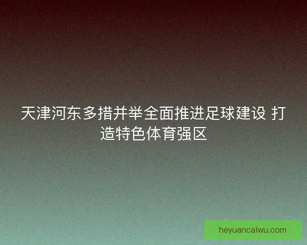 天津河东多措并举全面推进足球建设 打造特色体育强区