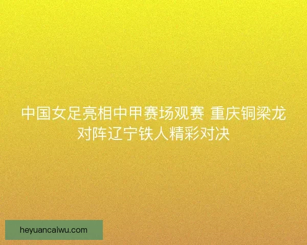 中国女足亮相中甲赛场观赛 重庆铜梁龙对阵辽宁铁人精彩对决
